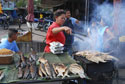 Fish on the menu tonight