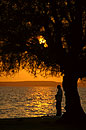 Man Silhouette Cienfuegos