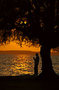 Man Silhouette by Tree