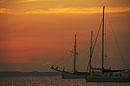 Yachts at Dusk