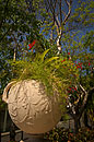 Flower Planter Palacio Del Valle