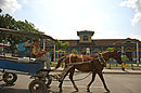 Cienfuegos Train Station & Horse Cart Taxi