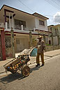 Fruit Seller with Cart