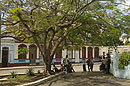 People by Tree Cienfuegos Bus Terminal