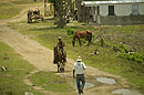 Cuban Cowboys