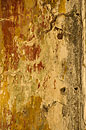 Close Up Colourful Wall Cuba