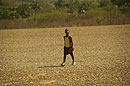 Cuban Baseball Teeny