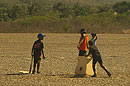 4 Boys Playing Baseball Cuba