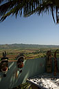 Masks & Jewellery by Landscape View