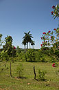 Rest stop Sancti Spiritus Province