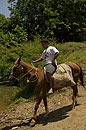 Horseman traversing the Riverbank