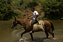 Cowboy and Horse in the River Cuba
