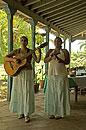 Musical Entertainment