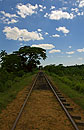Disused Track leading to the Wooden Bridge