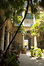 Palm Tree Courtyard Restaurant Havana
