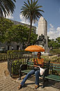 Lady with Orange Umbrella