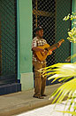 Singing Guitarist