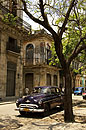 Tree Lined Street 1950' Car