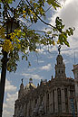 Gran Teatro & Tree