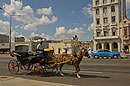 Horse & Carriage with Classic Car