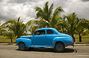 Bright Blue Classic and Palms