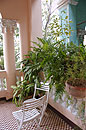 Pretty Patio