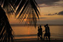 Silhouetts at Dawn Jamaica