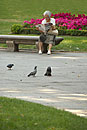 Reading in Retiro Park