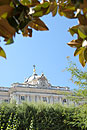 Top of Palacio Real seen through Trees