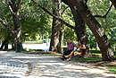 Retiro Park Madrid Sitting Under Trees