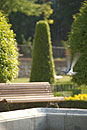 Topiary Conifers Madrid Park