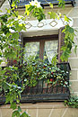 Pretty Balcony Madrid
