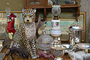 China Leopard and Cockerel at Rastro Madrid
