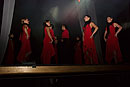Flamenco Show Madrid
