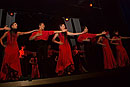 Flamenco Dance Finale Madrid