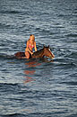 Horseriding Lake Malawi