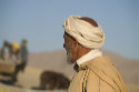 Berber from behind