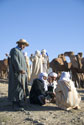 Negotiating the price of camels