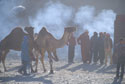 Camp fire smoke with Camels