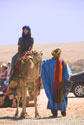 Tourist camel