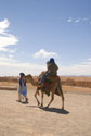 Camel ride