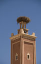 Storks nest Minaret