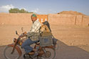 Sheep on a moped