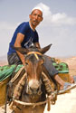 Friendly Horseman