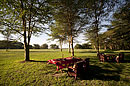 Dining With a View Olerai House 