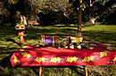 African Colour Jambi Serving Breakfast