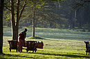 Laying Tables in the Early Morning Dew