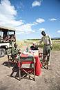 Bush Breakfast  by Mara River