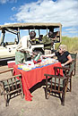 Bush Breakfast  by Mara River