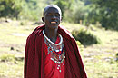 Maasai Moran in the Mara